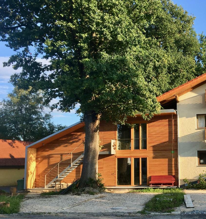 Loft Mit Dachterrasse Apartment Bernau am Chiemsee Bagian luar foto